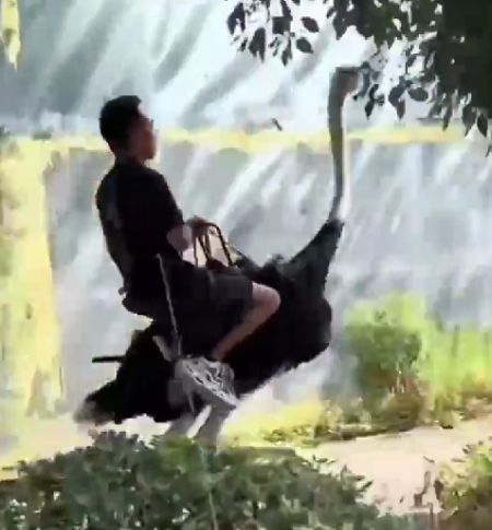 Самый популярный человек в Китае