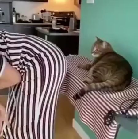Кусь за попу⁠⁠