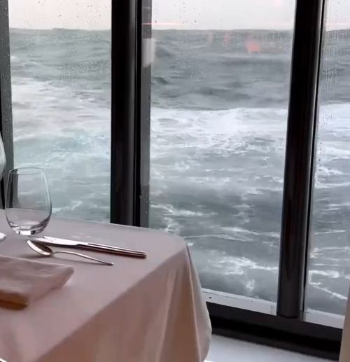 Тут спокойно не поешь...