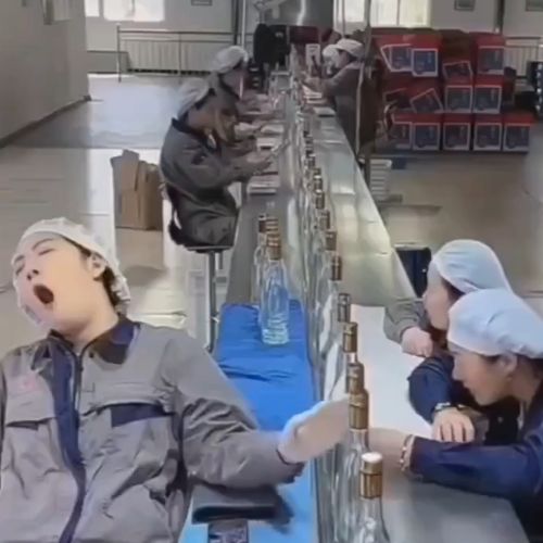 Работа кипит