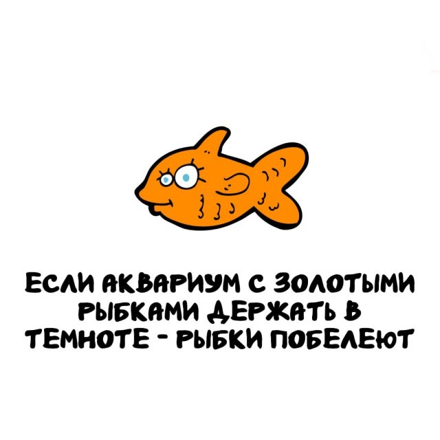 Интересные факты на все случаи жизни (15 фото)