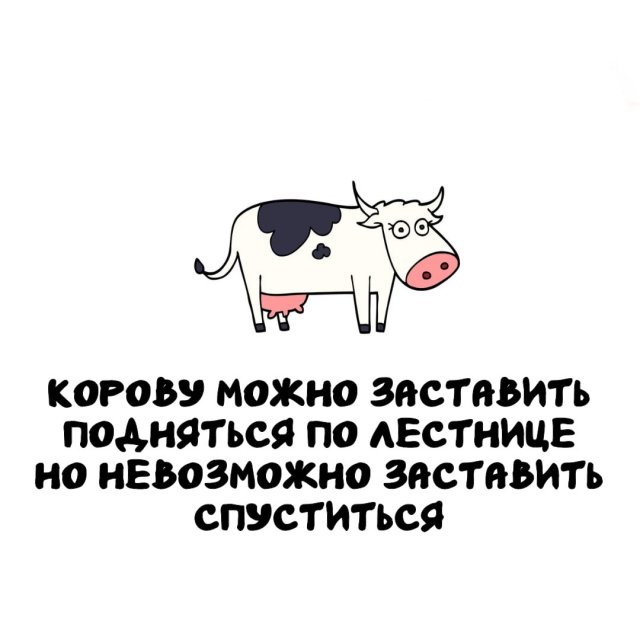 Интересные факты на все случаи жизни (15 фото)