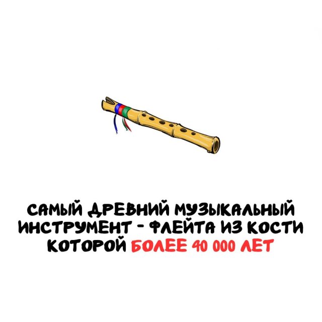 Интересные факты на все случаи жизни (15 фото)