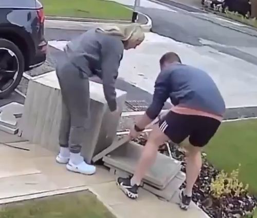 Помощница что надо!