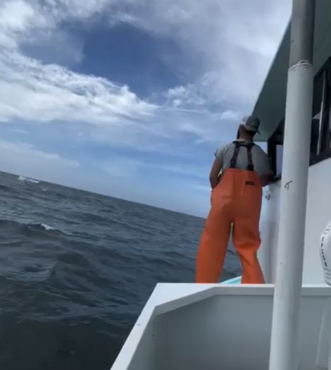 Удивительная находка в открытом море