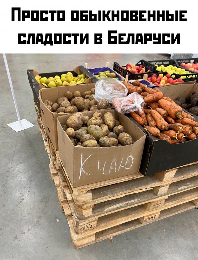 Приколы и картинки 20.10.2025