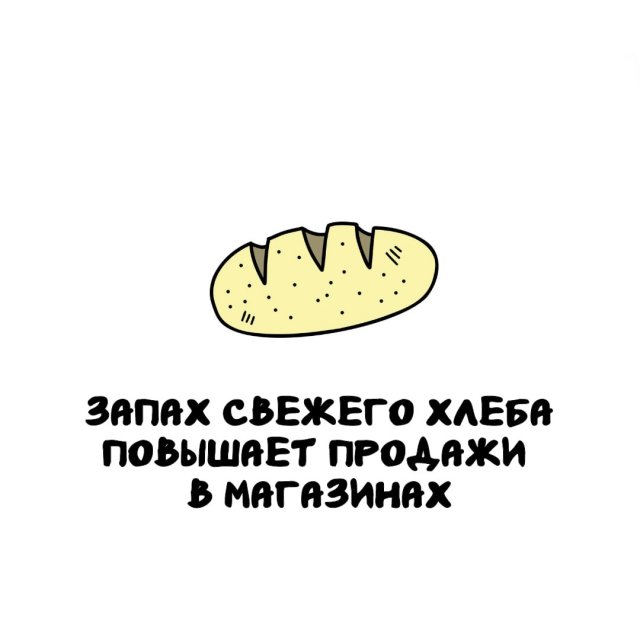 Интересные факты на все случаи жизни (15 фото)