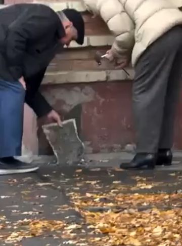 Котику тут не место!