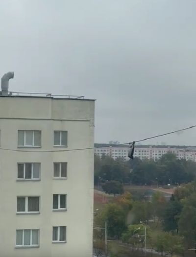 Ворона исполняет⁠⁠