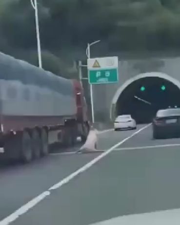 Есть же добрые люди