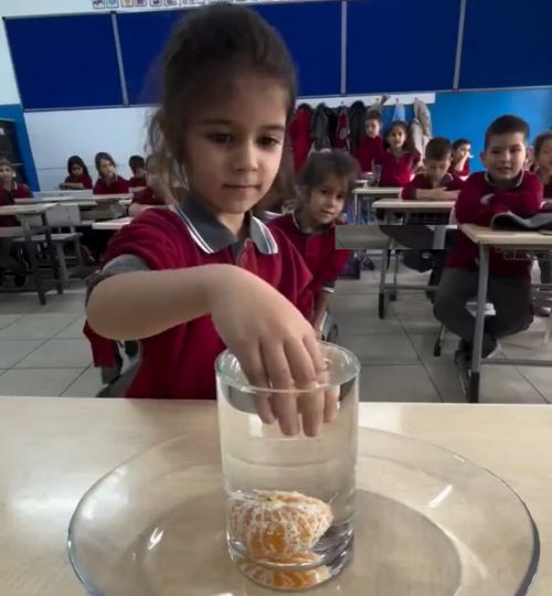 Достать мандарин рукой без подручных средств и не пролив воды