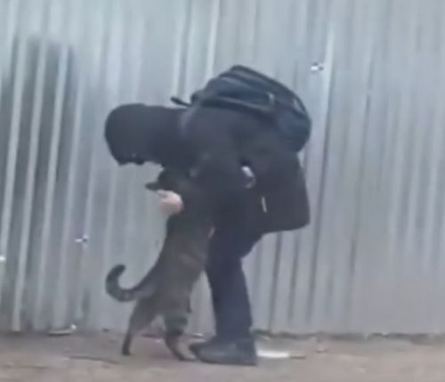 Он нашел своего человека