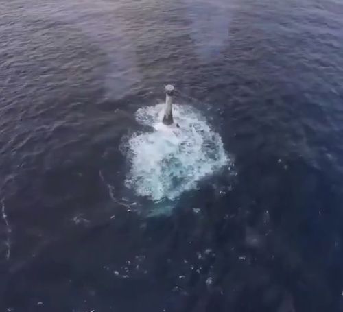 Наглядно о том, как устроен морской маяк изнутри