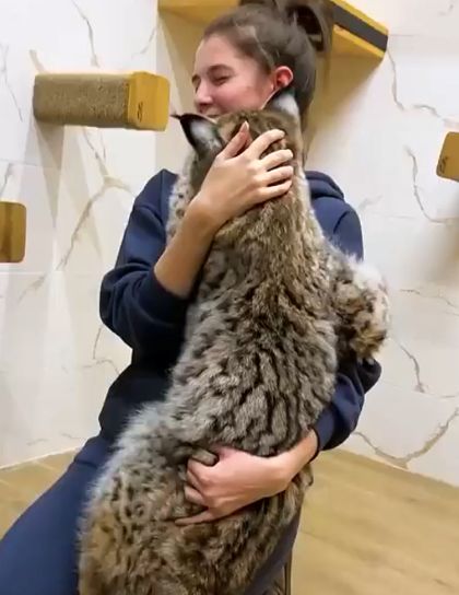 Ну погладь еще!⁠⁠