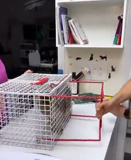 Живым не дамся!