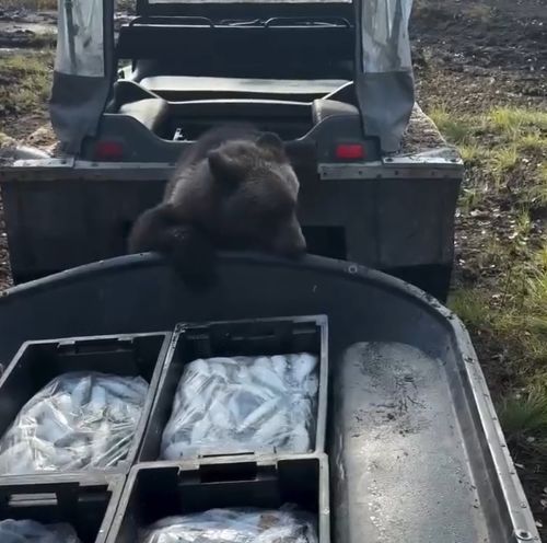 Ну понял я, понял, жадины