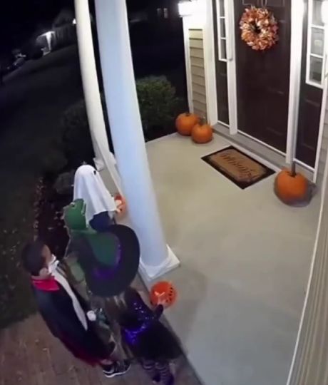 Костюм для собаки, как гарантия спокойствия на Хеллоуин