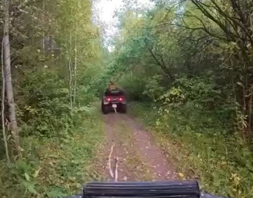 Степааан!