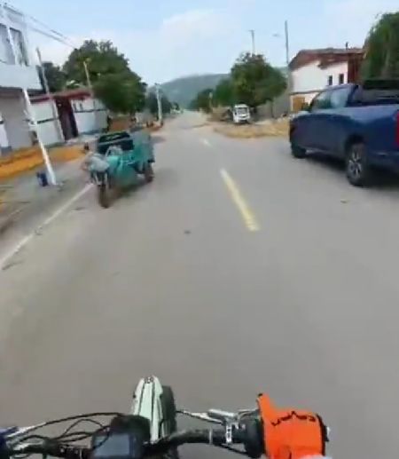 Как навсегда отучить лаять незнакомую собаку