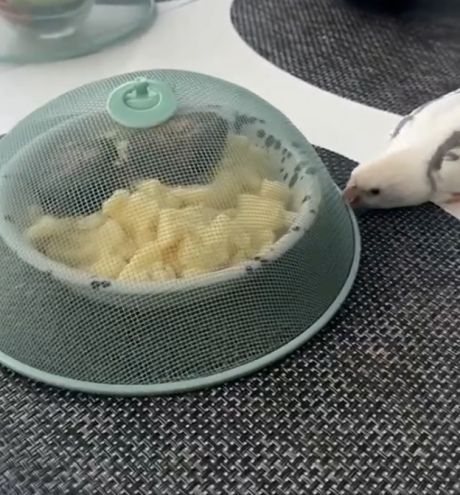 Примерно так работает двухфакторная аутентификация