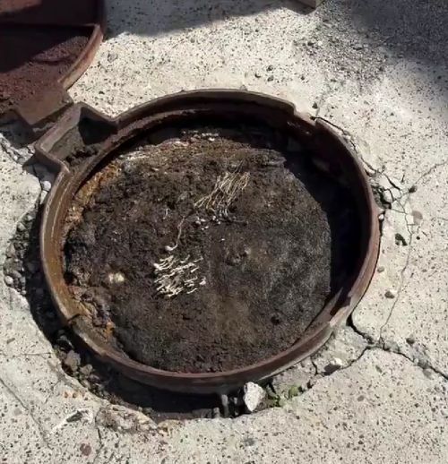 Рабочие будни