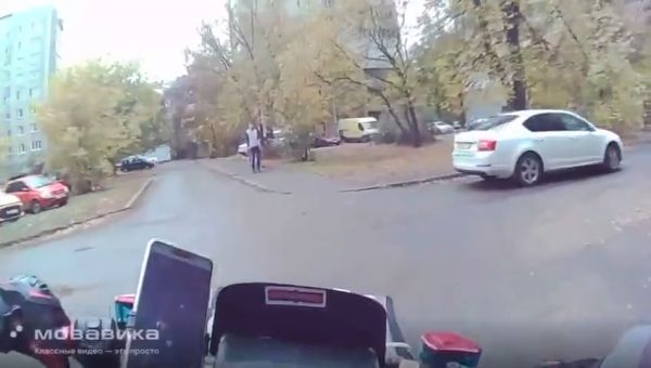 Увидел камеру — сразу убежал