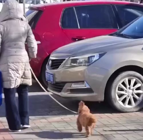 Когда в жизни всё хорошо⁠⁠