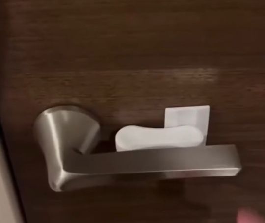 Защита от кота