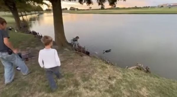 Водяная змея