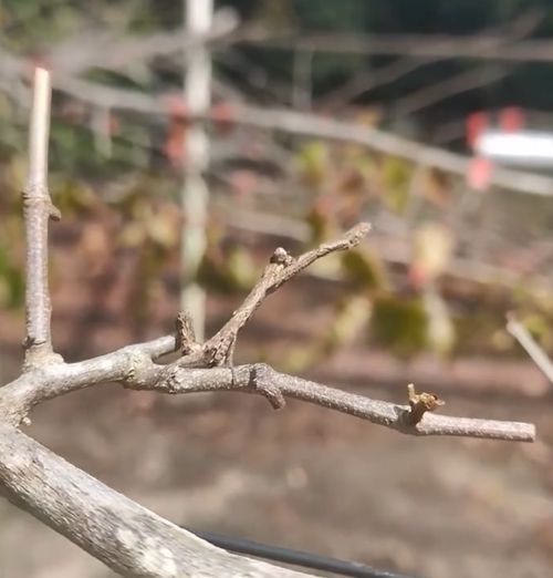 Отвали, я в засаде