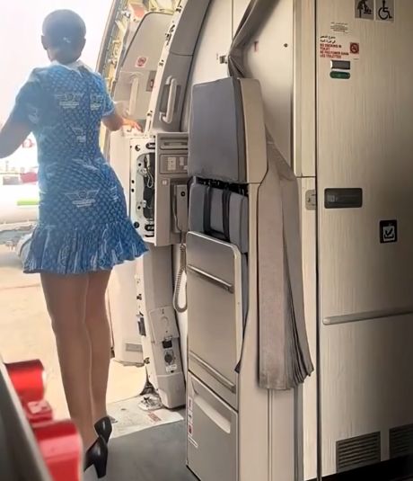 Стюардессы