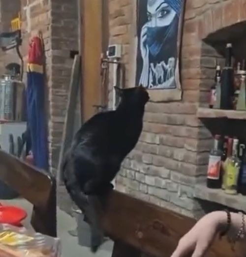 Невероятный прыжок⁠⁠