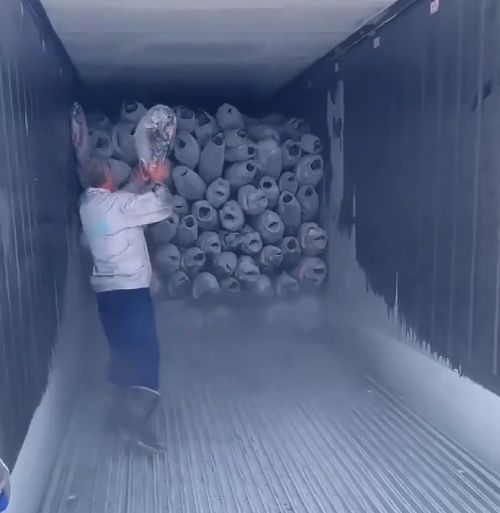 Ледяная подборка