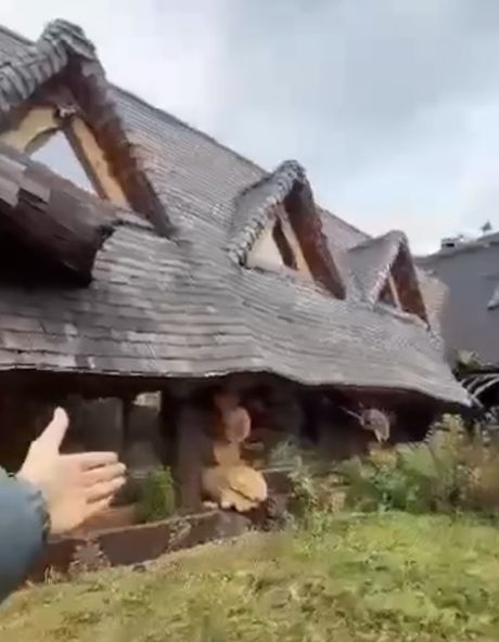 Особняк Бабы-Яги продают за 125 млн рублей в 25 км от Москвы