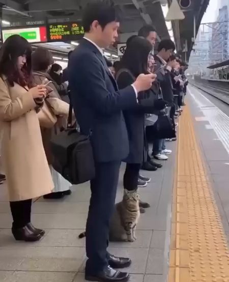 Странная жизнь⁠⁠