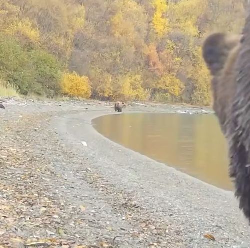 Он готов к зиме. А ты?