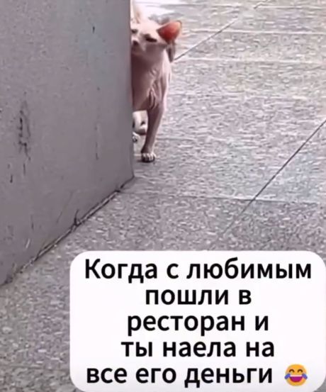 Бывает⁠⁠