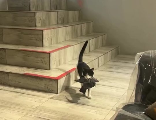 Кто не спрятался Марта не виновата