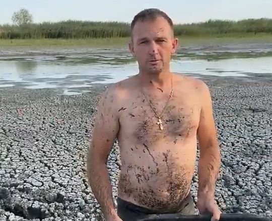 Добряк⁠⁠