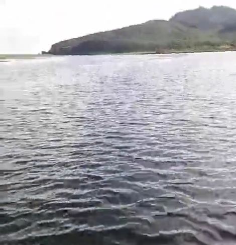 Два Лёхи. На рыбалке