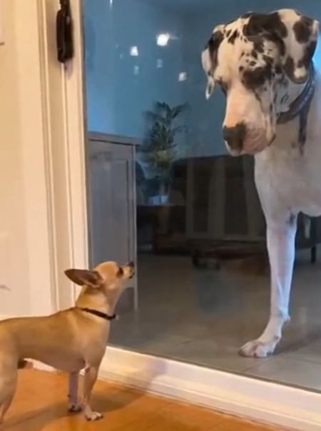 Простите, был не прав⁠⁠