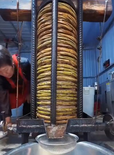 Процесс холодного отжима подсолнечного масла⁠⁠