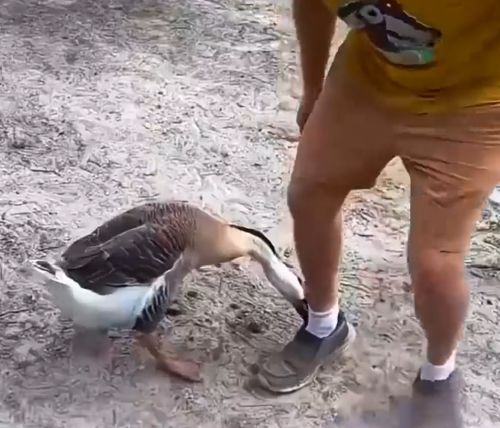 Завалил кожаного⁠⁠