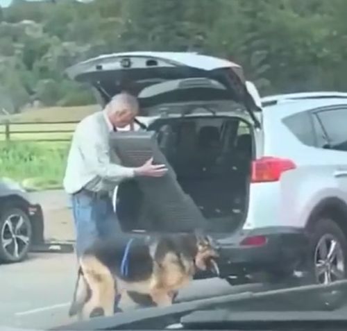 Помощь старому другу⁠⁠