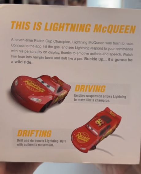 Молния Маккуин в реальности