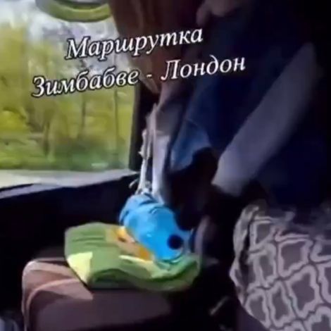Борьба с безбилетниками)