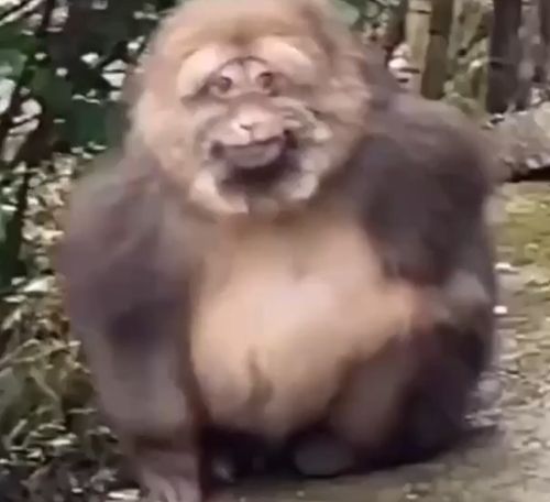 Практически голливудская улыбка