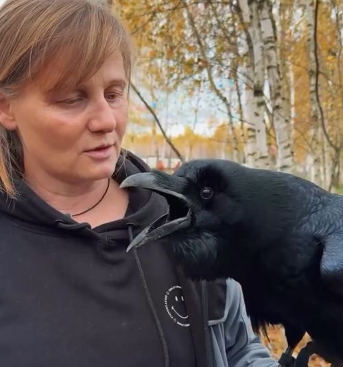 Карлуша⁠⁠