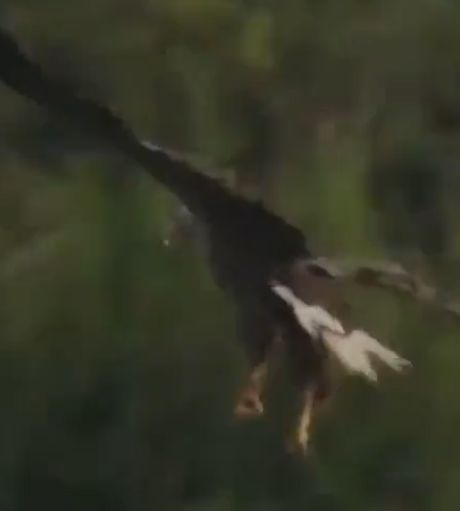 Шикарный улов