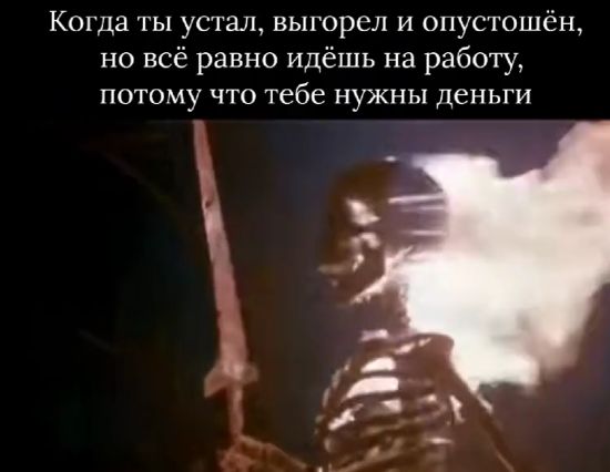 А отпуск через год. Или два⁠⁠